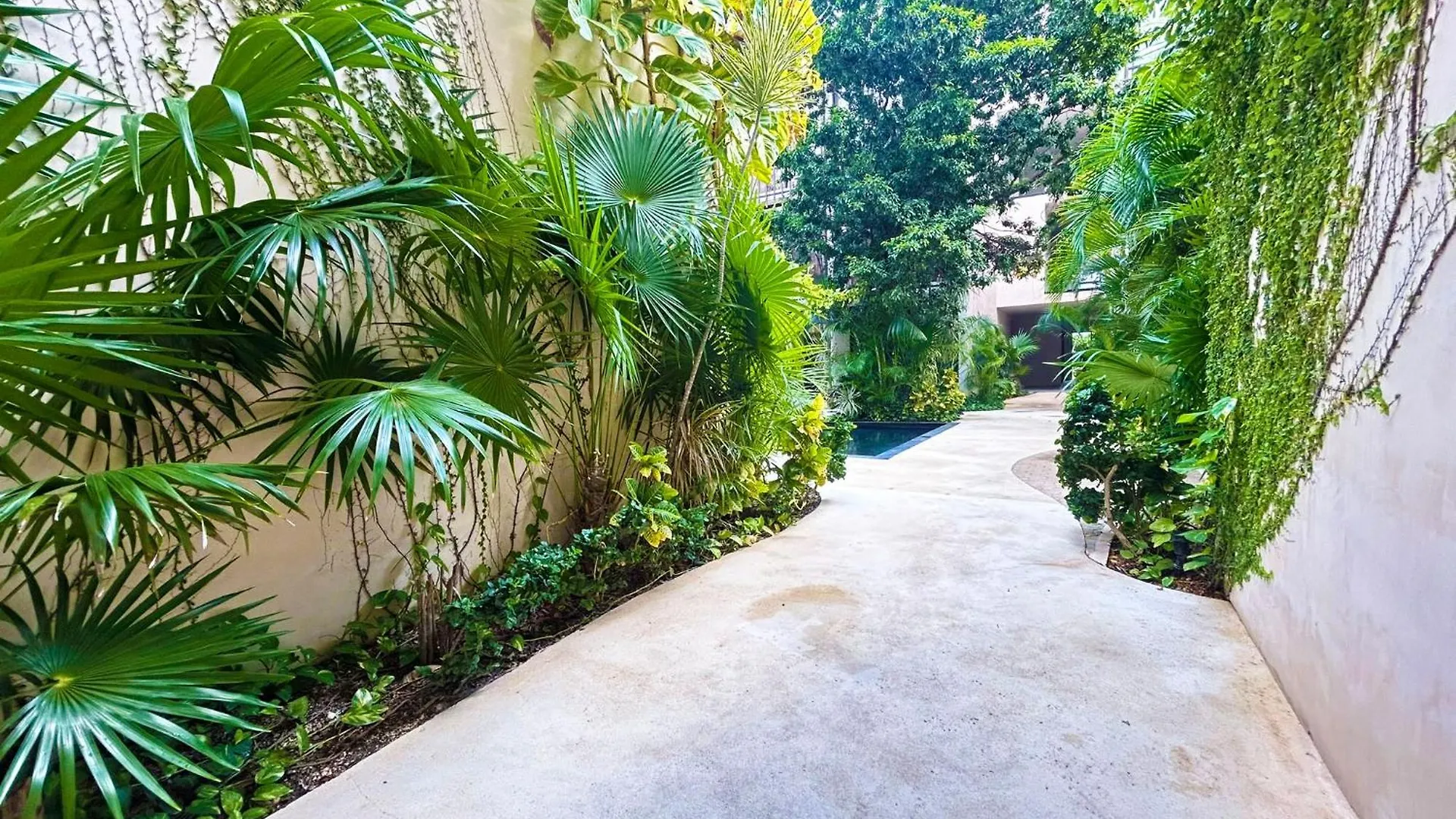 Apart-hotel Riviera Coba - Apartamentos De Lujo Tulum México